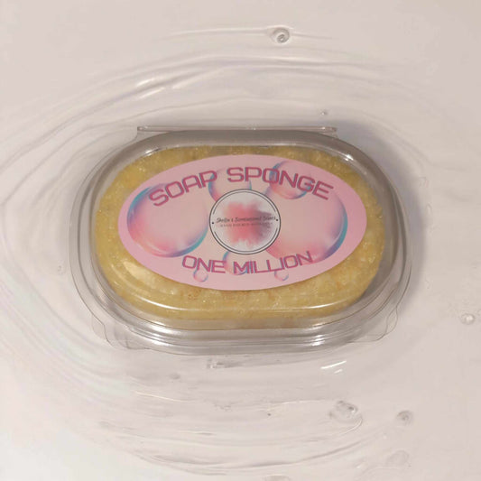 One Million Soap Sponge